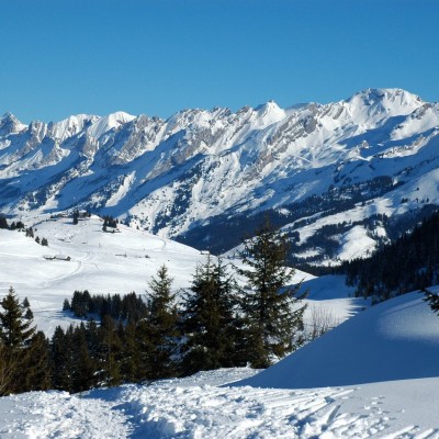 Plateau de Beauregard