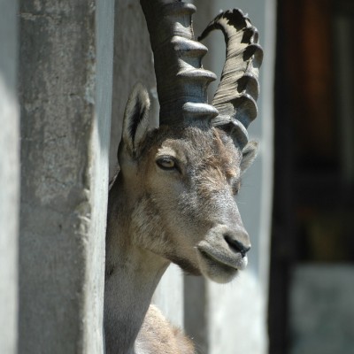 Parc de Merlet