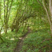 Cascade de Frangy - Pierre aux Renards