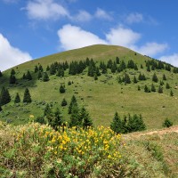 Montagne de Sur Cou